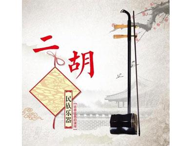 招聘广元二胡家教老师